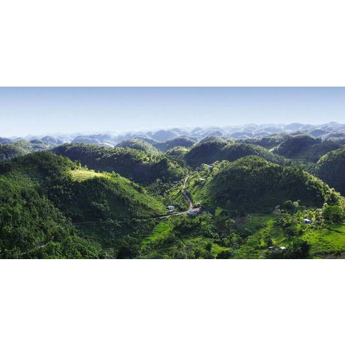 Jamaica Blue Mountain Caffé CORSINI kávékapszula, 10 db